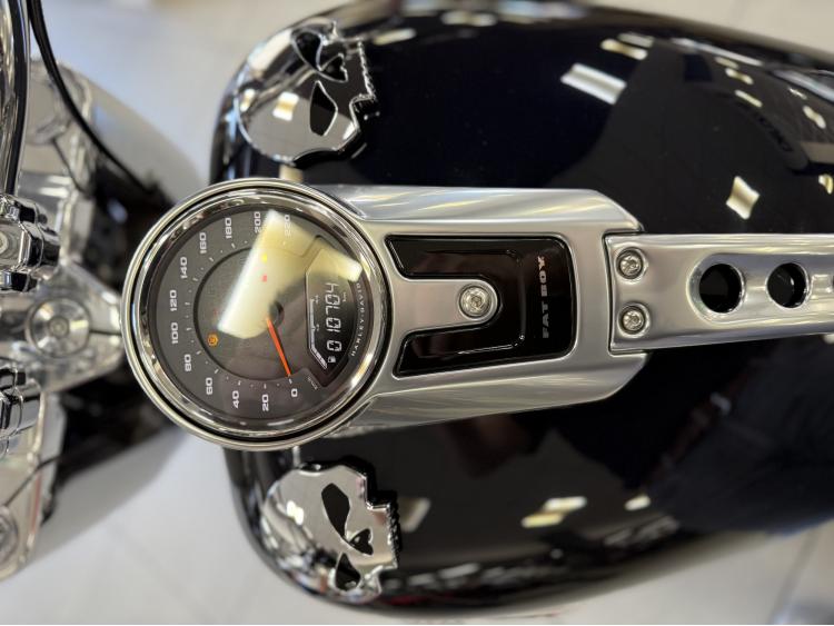 HARLEY-DAVIDSON SOFTAIL FAT BOB 1868